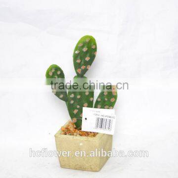 Real touch Cactus for decoration