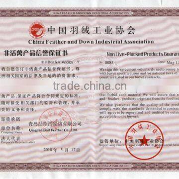 100% Short Soft Velvet Printing Cushion photo-3