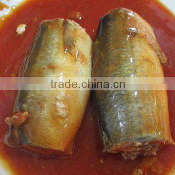 Canned Mackerel Fish in Tomato Sauce