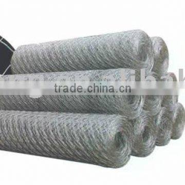 Hexagonal Wire Netting fence