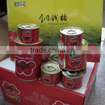 manufacturer top quality tomato paste sauce 485g normal easy open factory l79 alavie double concentrated