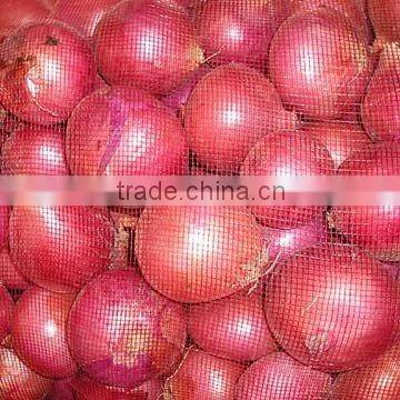 RED ONION