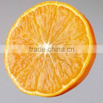 Summer Navel Orange With Competitive Price