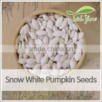 good quality dried snow white pumpkin seed