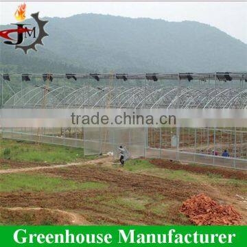 Gold Quality uv Resistant Large Polytunnel Plastic Greenhouse photo-4