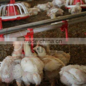 Goldenest poultry farming equipment broiler automatic poultry drinkers nipples for sale