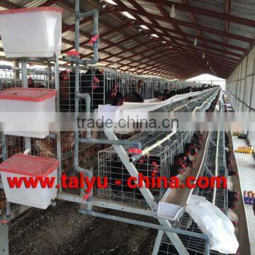 TAIYU Best Sale Chicken Egg Layer Cages System