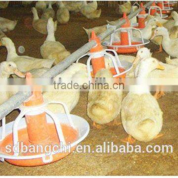 poultry cages feeding systems