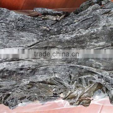 Kelp Raw Material,Dried Kelp,dry Algae,dry Algae,taiwan Seafood Importers
