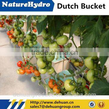 Hydroponics Dutch Bucket Growing Equipment For Greenhouse