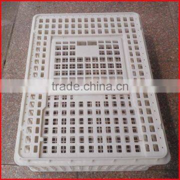 Plastic Crate / Live Chicken Used Transport Crate