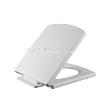 Factory Direct Sales Slow Down Toilet Closet Cover Head Cover u Not Bad Foot Wholesale PP Cover photo-3