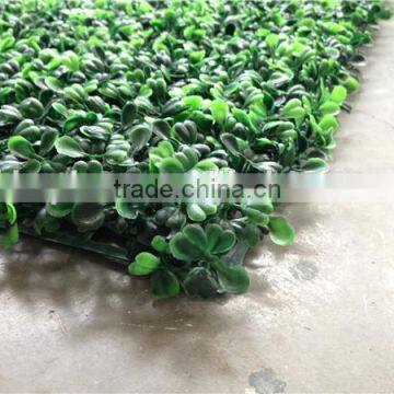 Artificial Boxwood Grass Mat photo-6