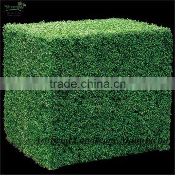 SAS016014 Artificial Hedge Panel UV Protect PE Boxwood Mat