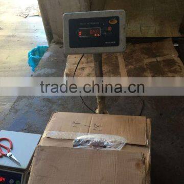 Sea Frozen Loligo Chinensis ,for Italy ,Greece et ,EU Market photo-4