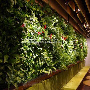 Artificial plant wall