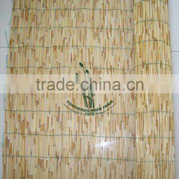 Natural Reed Screen photo-3