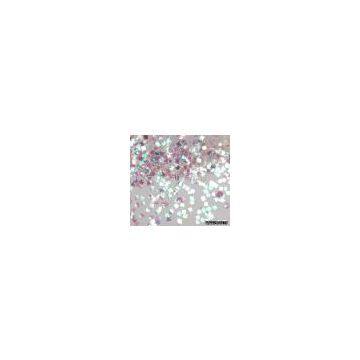 Stock glitter powder (For christmas decoration)