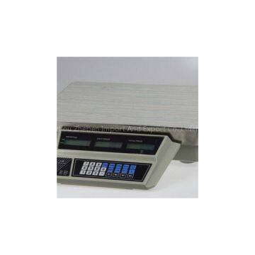 Electronic Scale Computing TS-809