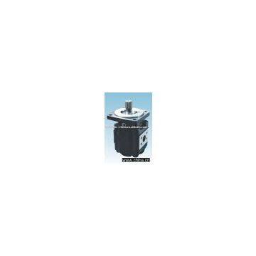 Hydraulic Gear Motor