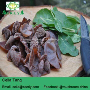 GMP Supply 100% Natural Black Fungus photo-5