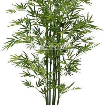 New Product Artificial Bonsai Bamboo Tree With Natural Colour photo-5