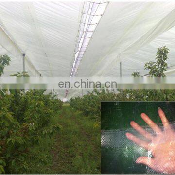 Leno PE tarpaulin product,  Light transmittance, clear tarpaulin,greenhouse flower house.