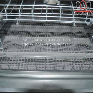 Ethiopia Poultry Farm Automatic Broiler Chicken Cage & Meat Chicken Cage & Chicken Coop in Chicken Shed