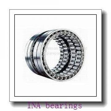 INA Bearing