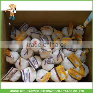 Hot Supplying Cold Storage Fresh Nature Garlic From China