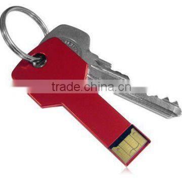 Hot selling gift USB key drive