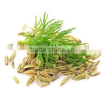 100% organic Fennel seed exporters