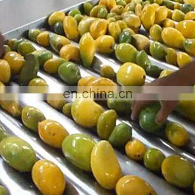 Mango juice pulp puree mango fruit processing making machine production line plant