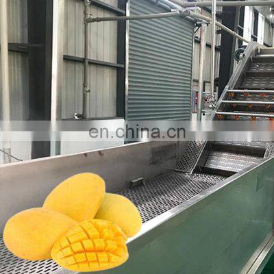 Processing Sorting and Grading Lines for Mango Fruit Processing Machines Mangoes for Small Mango Processing Plant photo-5