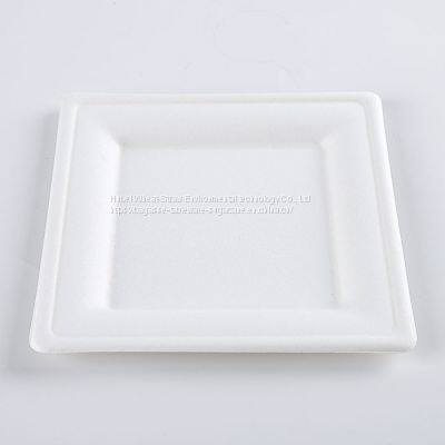 Disposable Biodegradable 10INCH Square Plate Take Away Sugarcane