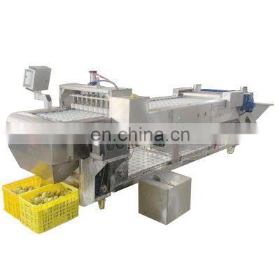 Full Automic Apple Pear Peach Splitting Digger Washer Drain Can Machine Line