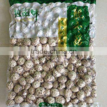 Dried White Flower Mushroom Export Products of Singapore