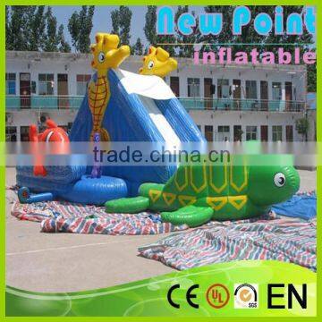 New Point inflatable water slides for summer,giant amusement inflatable slide,inflatable water slides