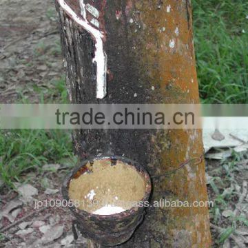 natural rubber latex 60% drc low ammonia