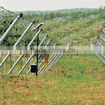 3-5 Rainy Days Eco-friendly High Quality Standard Attractive Design Solar Powered Bug Zapper Electric Insect Killer Lamp photo-5