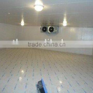 Cold Room PU Sandwich Panel Freezer Room With Hinge Doors