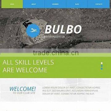 Website Design & Development photo-3