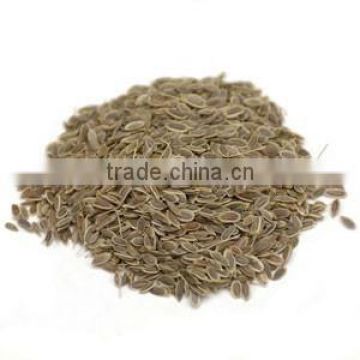 Dill Seed