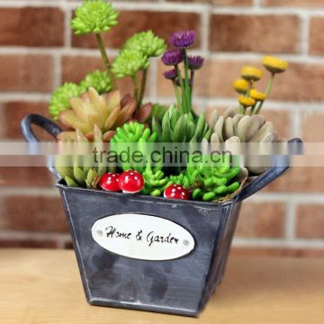 Indoor & Outdoor Tin Planter with Two Handles