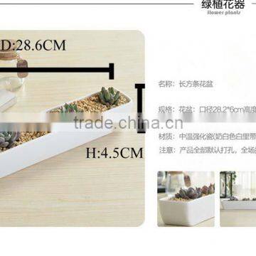 2016 Hot-sell Wholesale Price Artificial Tropical Mini Succulent Plant Pot Porcelain Flower Pot in Garden photo-2