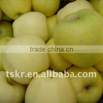 royal Chinese delicious juicy apples in 2011