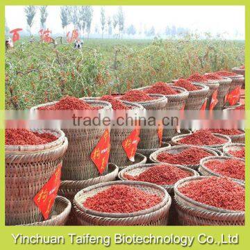 Organic Goji Berries in Low Price photo-3