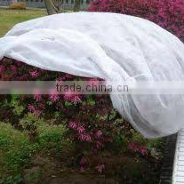 Pp Nonwoven Anti uv Fabric photo-4