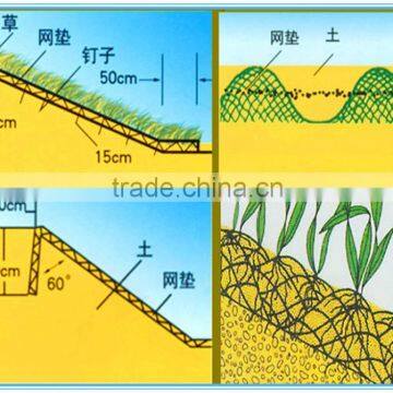 Erosion Control Mat, 3D Geomat, Plastic Mat photo-3