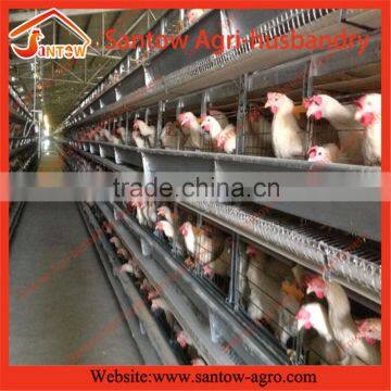 Stable steel structure chicken egg layer cage broiler breeder farm